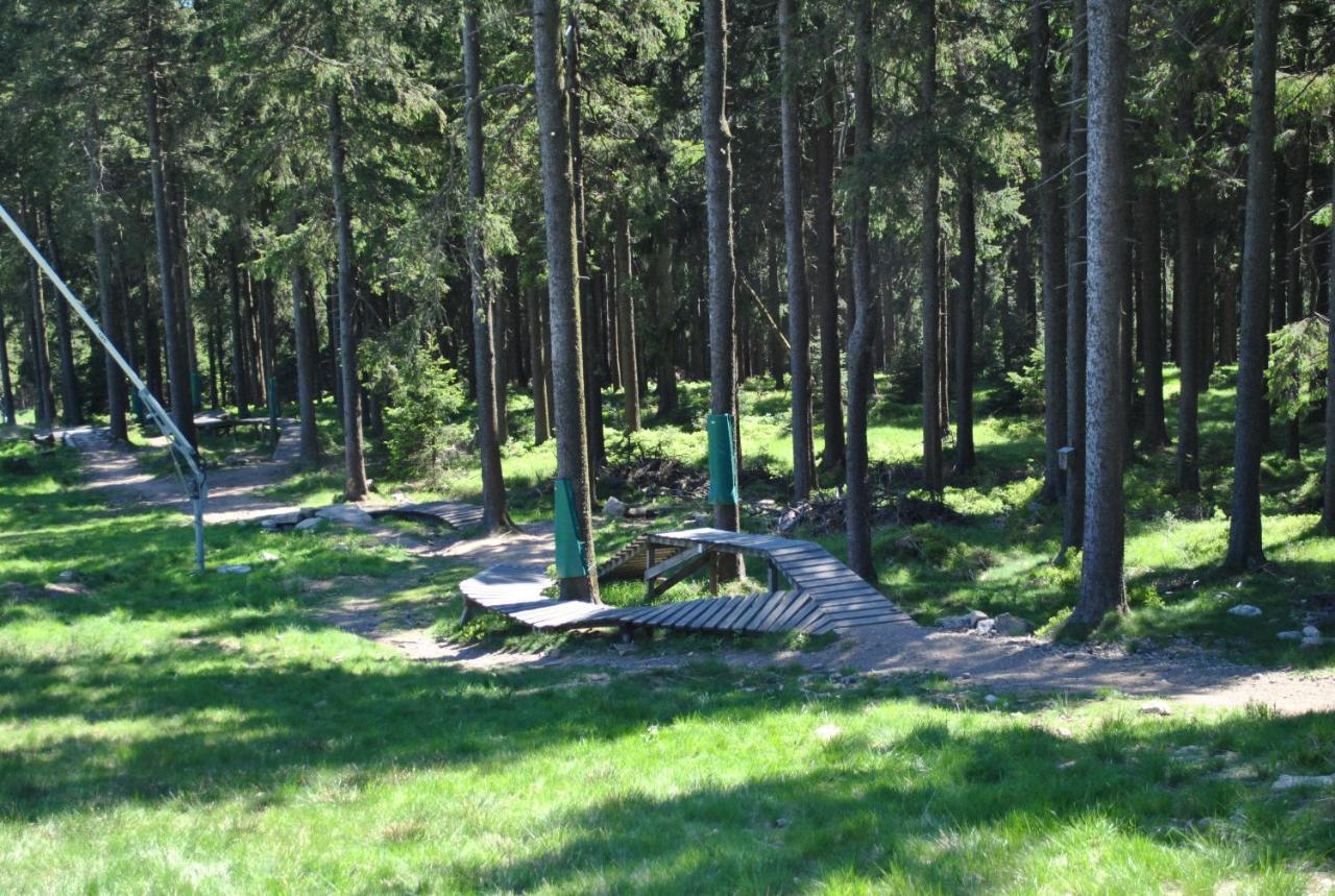 Апартаменти Harz-Rose Браунлаге Екстер'єр фото