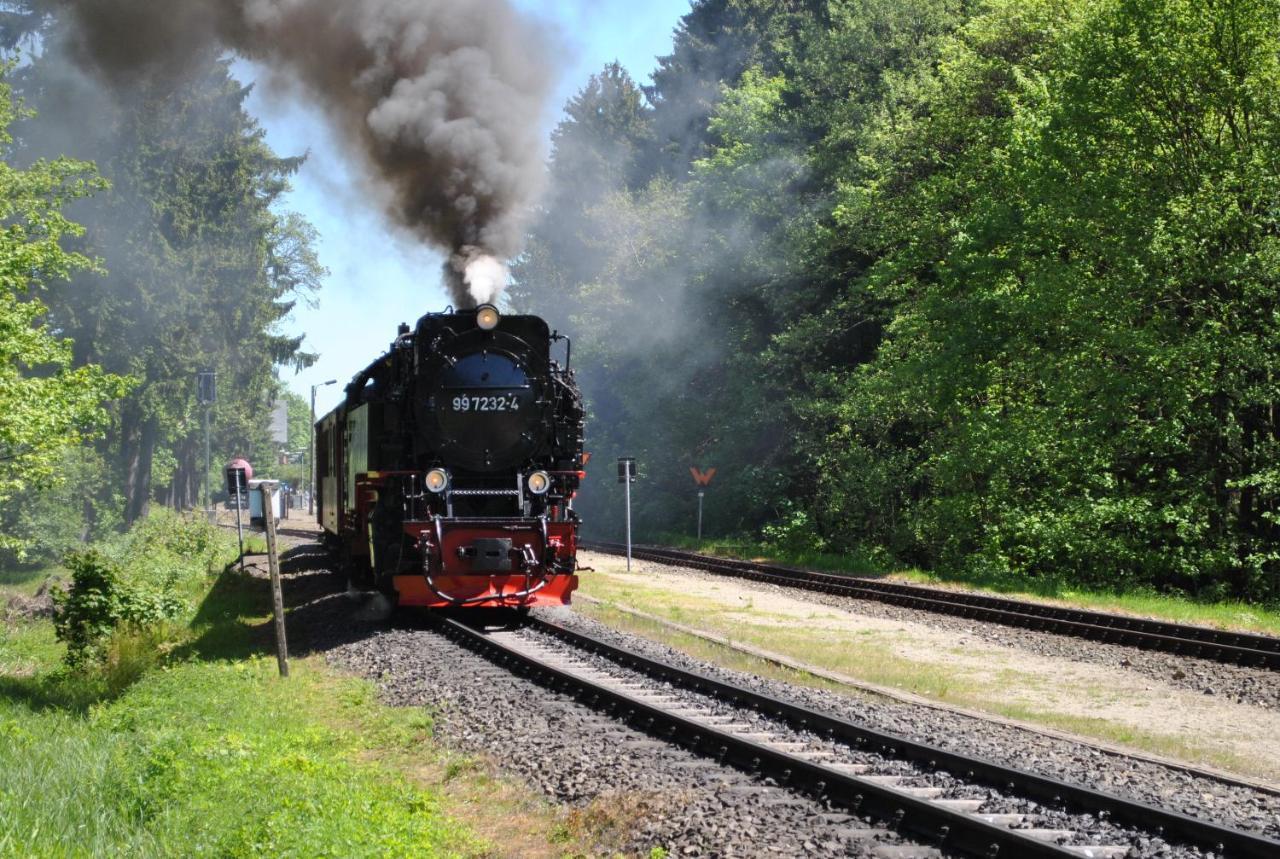 Апартаменти Harz-Rose Браунлаге Екстер'єр фото
